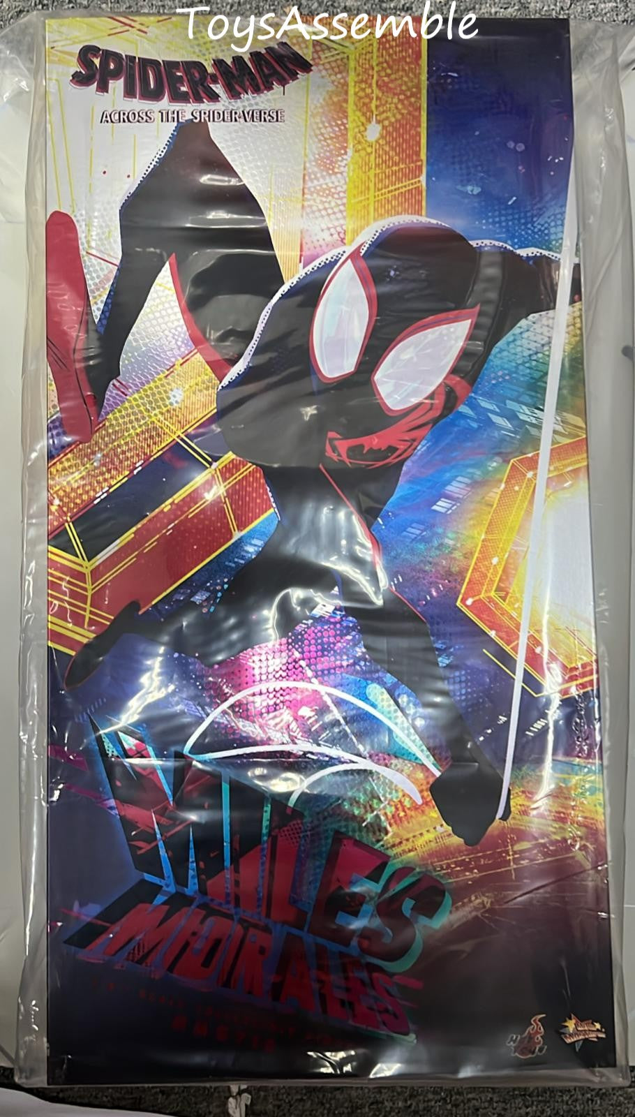 🔥Hot Toys MMS710 Spider-Man Across the Spider-Verse Miles Morales Collector Edition