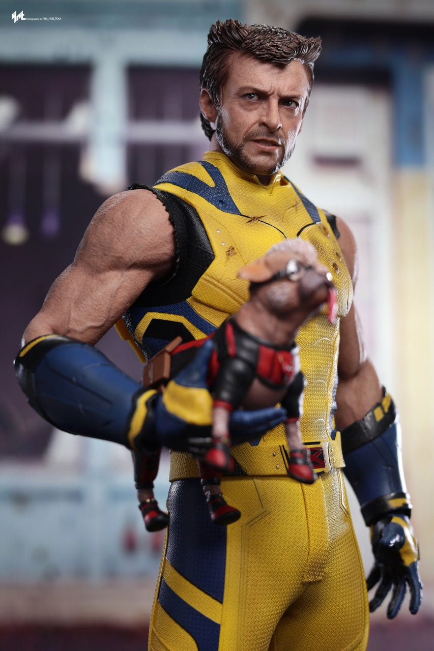 🔥Hot Toys MMS754 Deadpool and Wolverine - Wolverine 1/6 Scale Collectible Figure Deluxe Edition