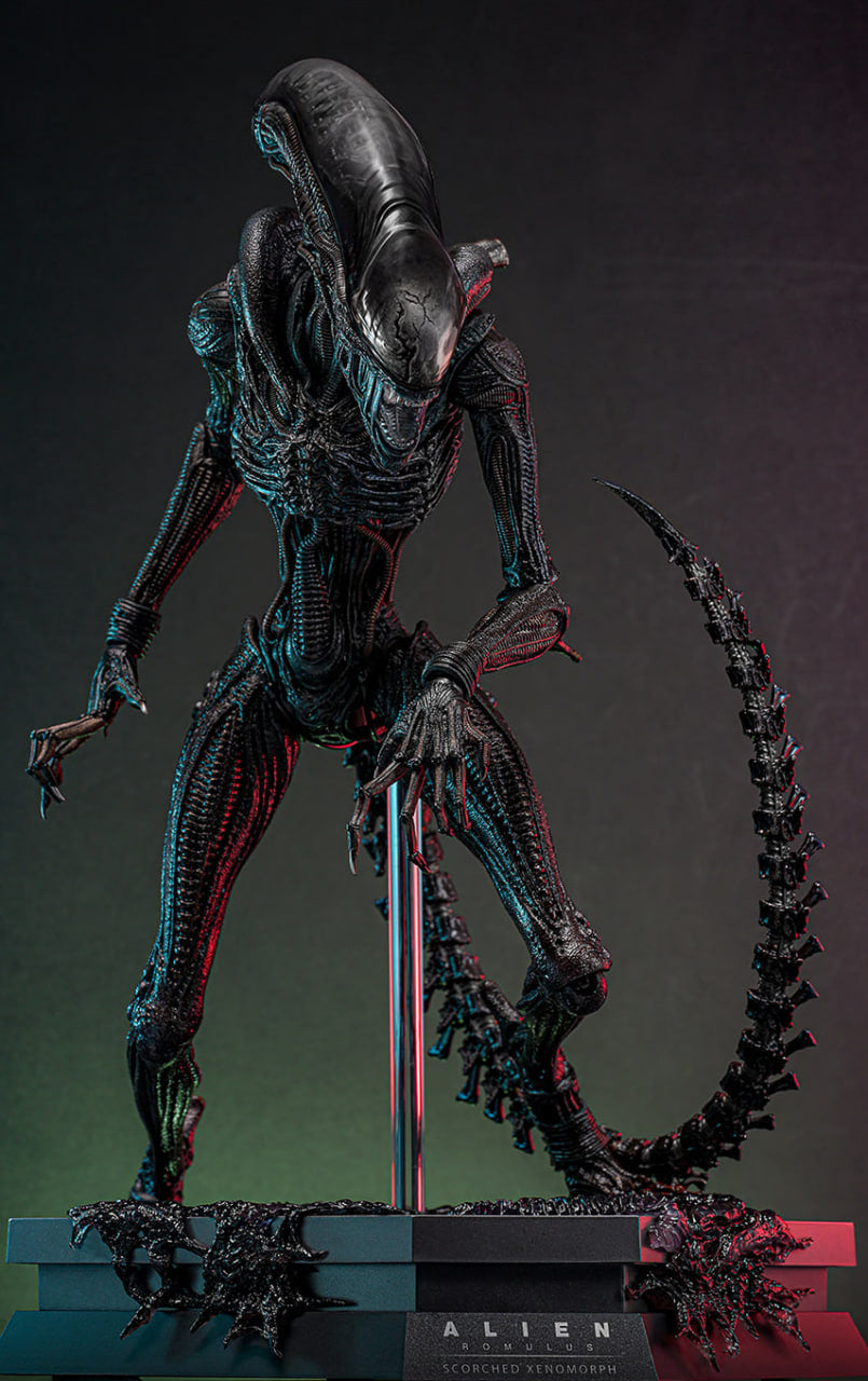 Preorderš„Hot Toys MMS784 Alien: Romulus 1/6th scale Scorched Xenomorph Collectible Figure