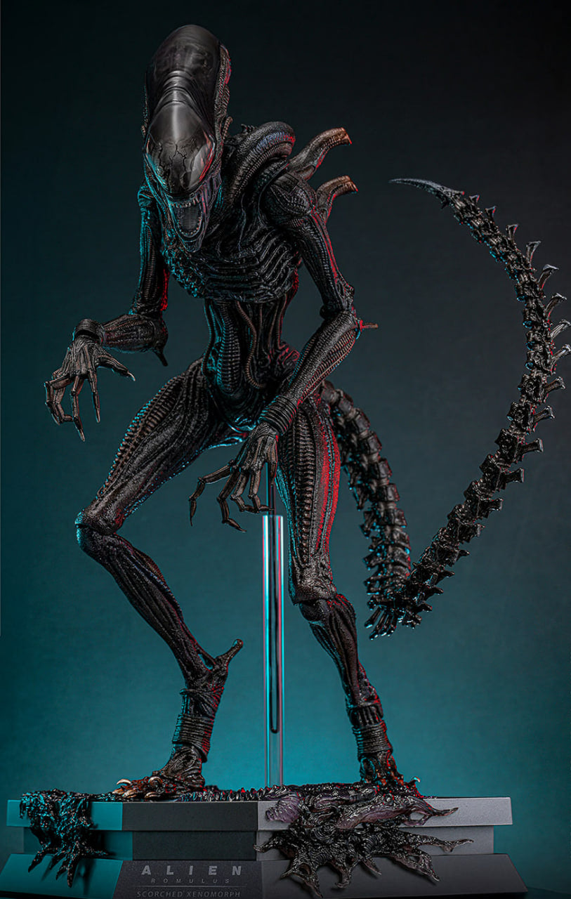 Preorderš„Hot Toys MMS784 Alien: Romulus 1/6th scale Scorched Xenomorph Collectible Figure