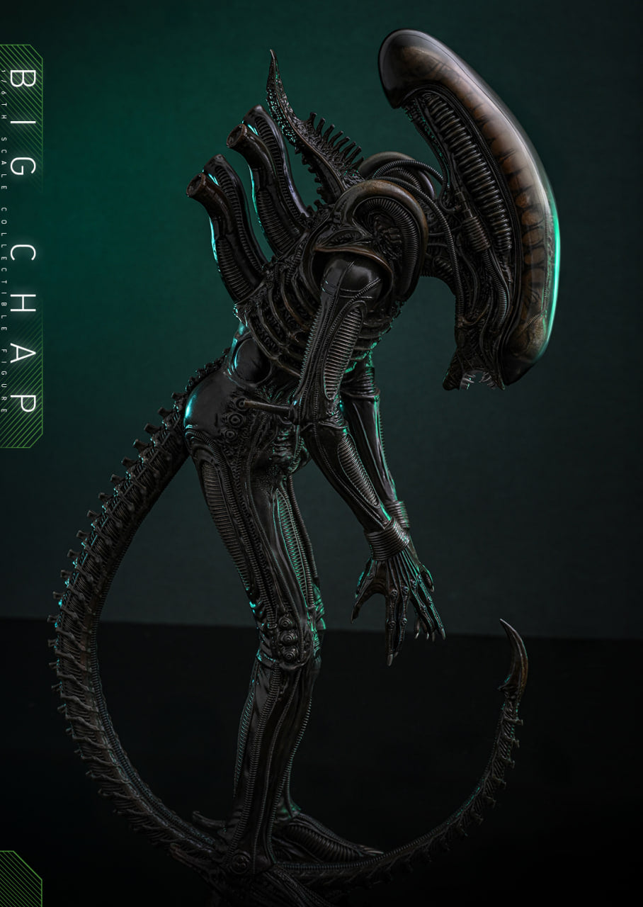 Preorderš„Hot Toys MMS826B Alien Big Chap 1/6th scale Collectible Figure Special Edition