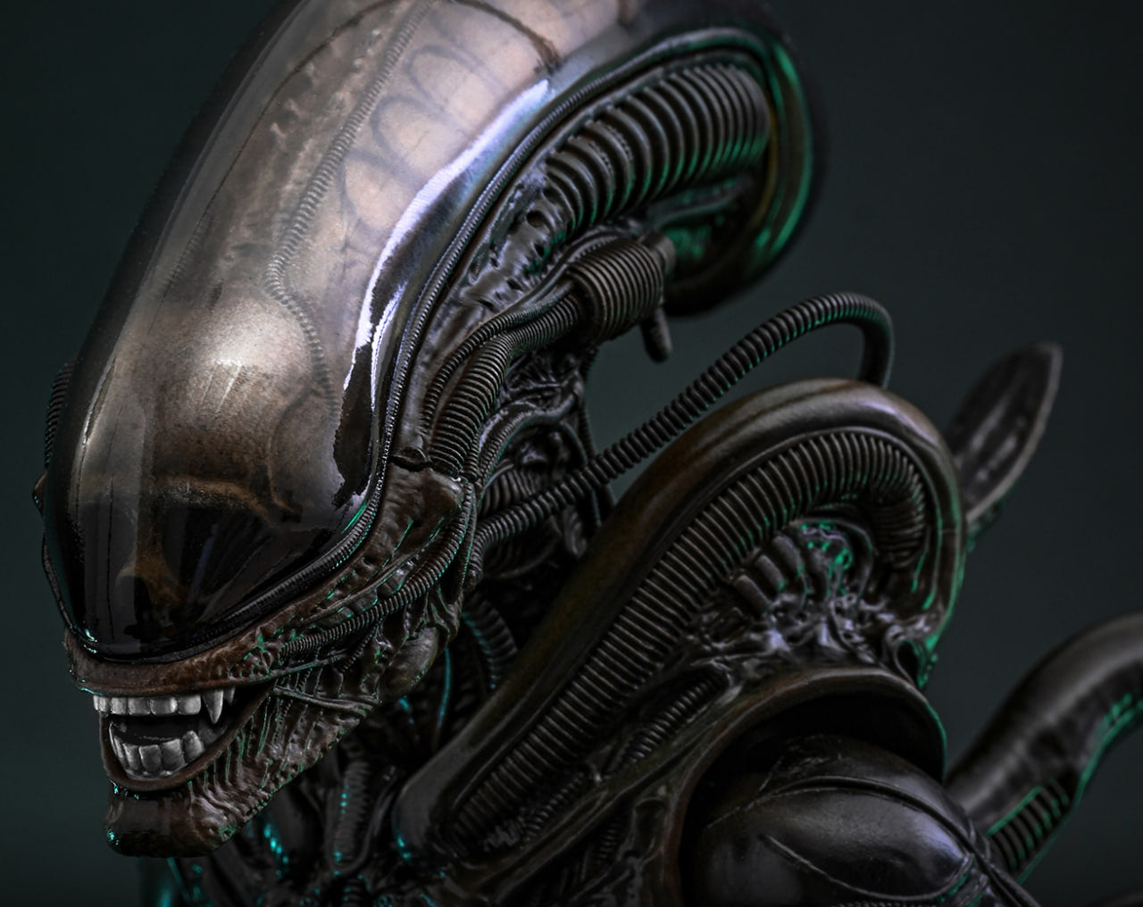 Preorderš„Hot Toys MMS826B Alien Big Chap 1/6th scale Collectible Figure Special Edition