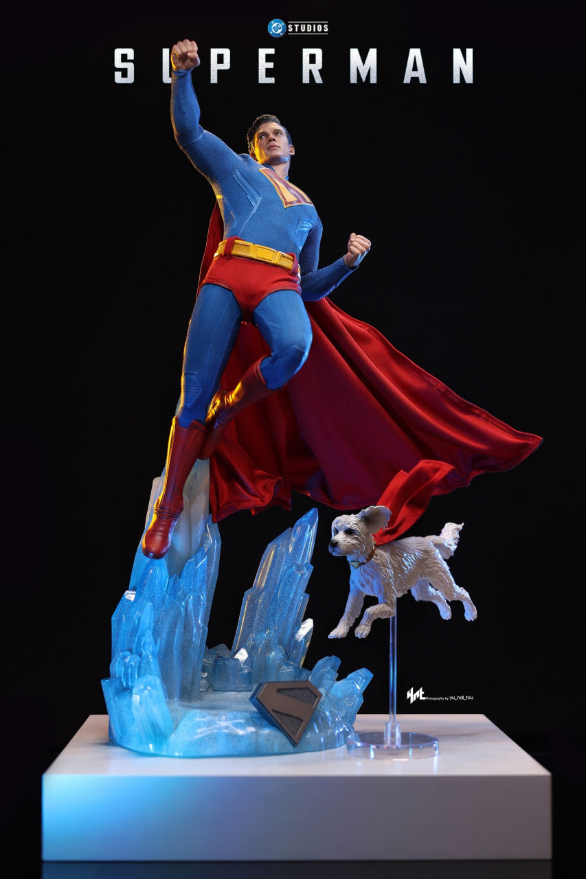 🔥Hot Toys MMS812 Superman 1/6th Scale Superman & Krypto Collectible Set
