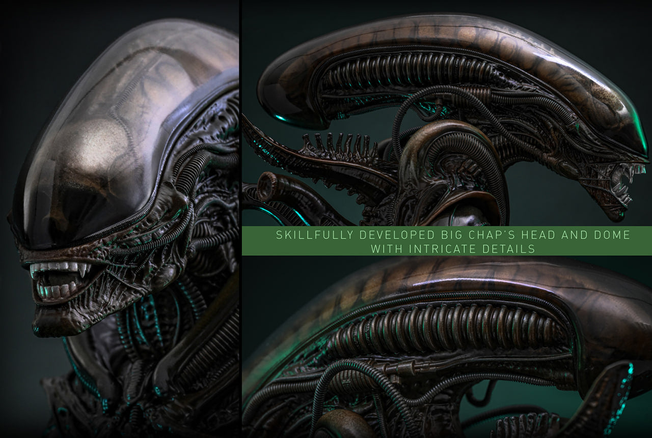 Preorderš„Hot Toys MMS826B Alien Big Chap 1/6th scale Collectible Figure Special Edition
