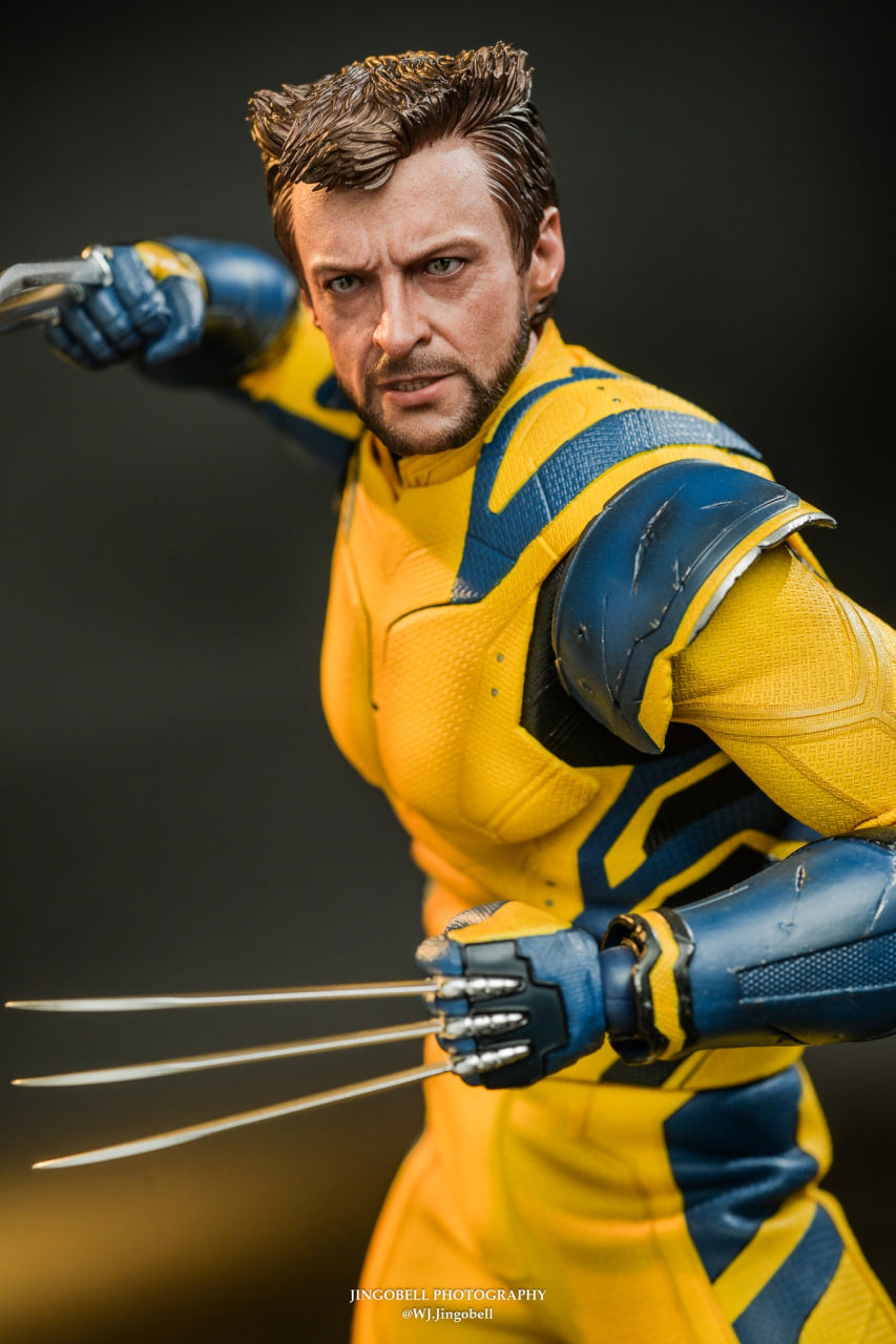 🔥Hot Toys MMS754 Deadpool and Wolverine - Wolverine 1/6 Scale Collectible Figure Deluxe Edition