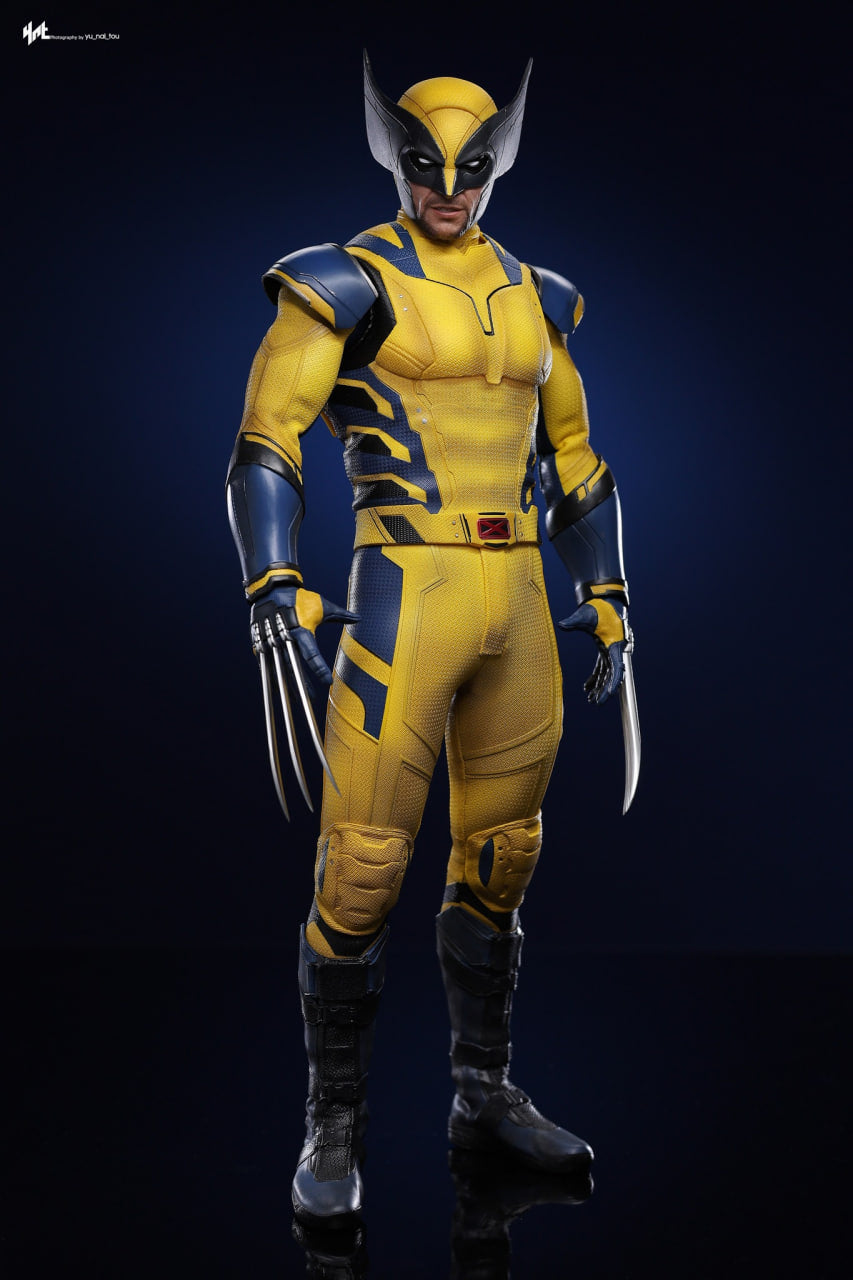 🔥Hot Toys MMS754 Deadpool and Wolverine - Wolverine 1/6 Scale Collectible Figure Deluxe Edition