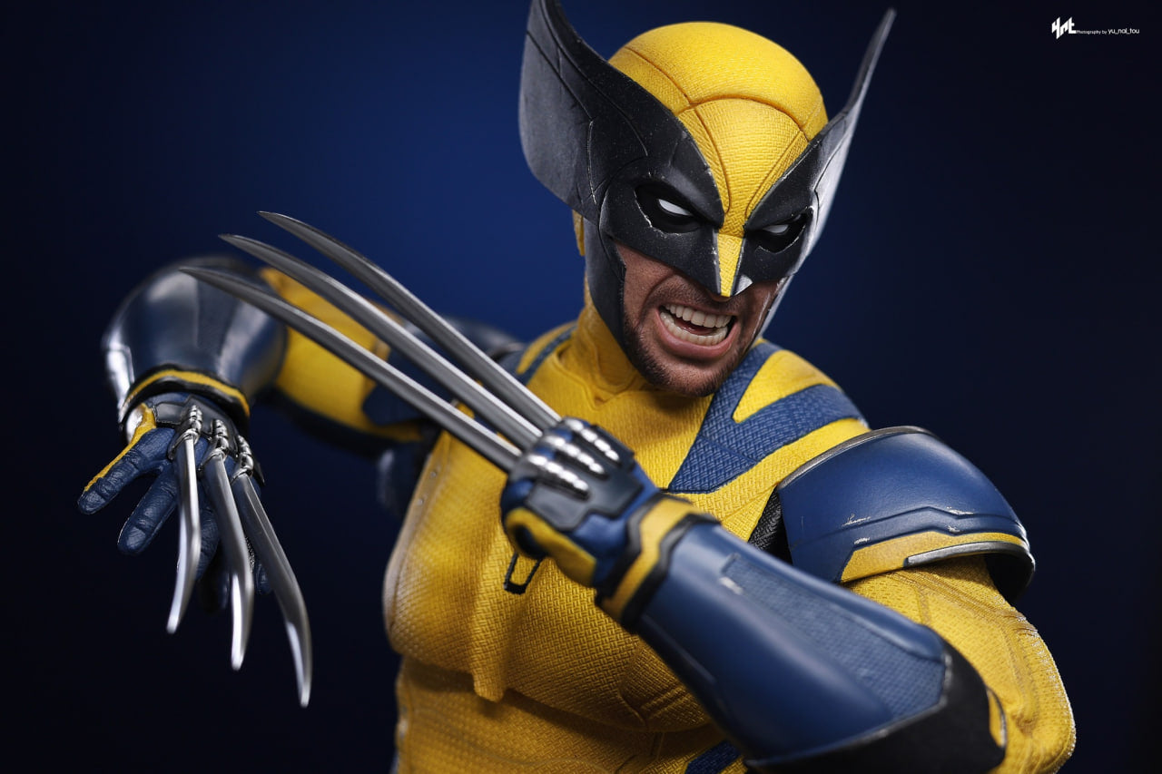 🔥Hot Toys MMS754 Deadpool and Wolverine - Wolverine 1/6 Scale Collectible Figure Deluxe Edition