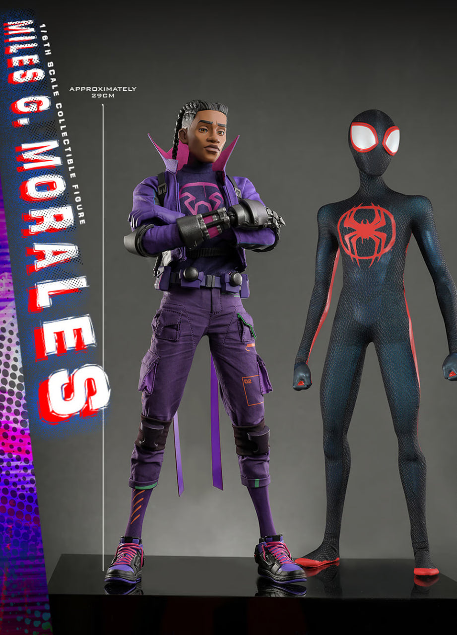READY🔥Hot Toys MMS725 Spiderman Across the Spider-Verse Miles G. Morales 1/6 Scale Collectible Figure Normal Version