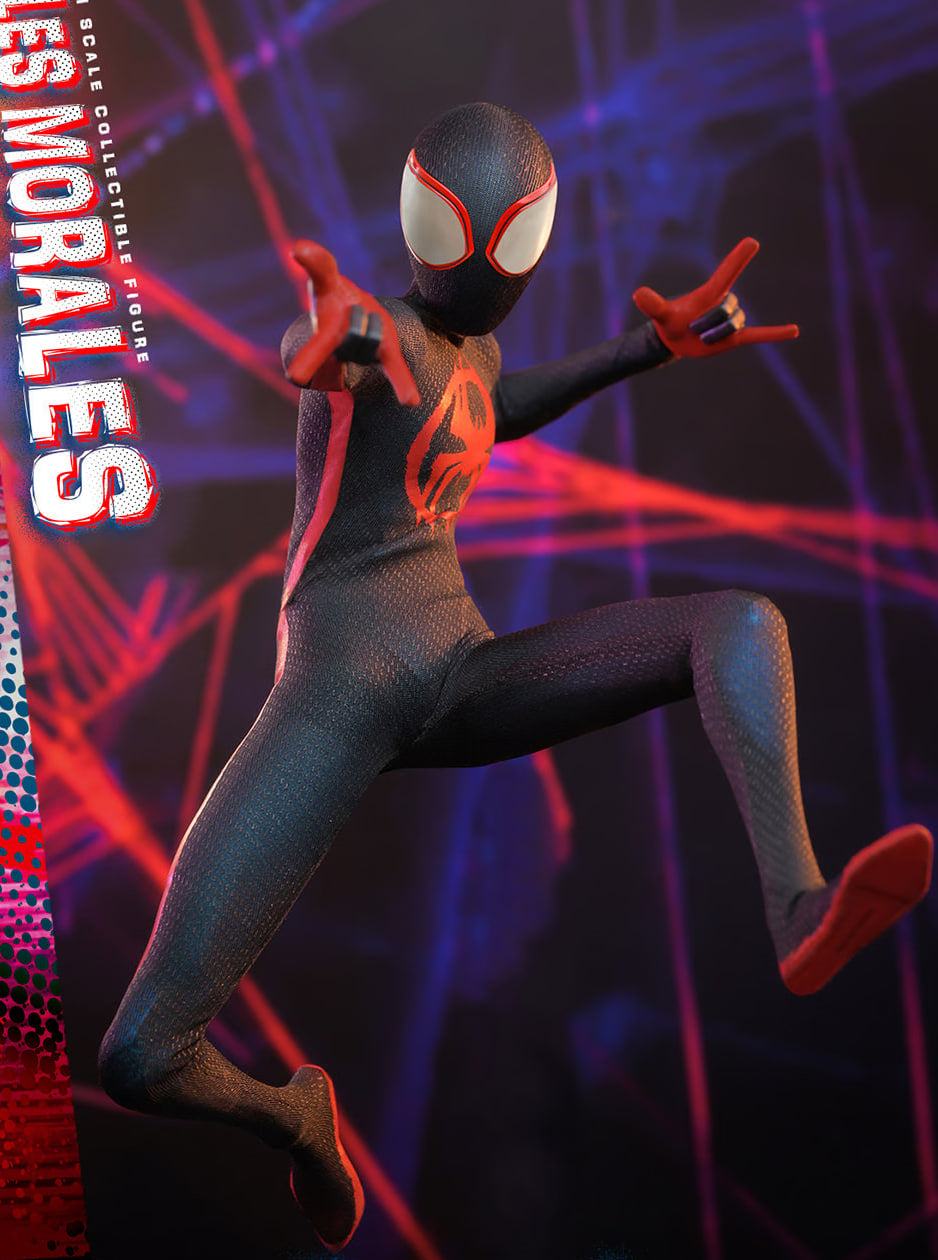 🔥Hot Toys MMS710 Spider-Man Across the Spider-Verse Miles Morales Collector Edition