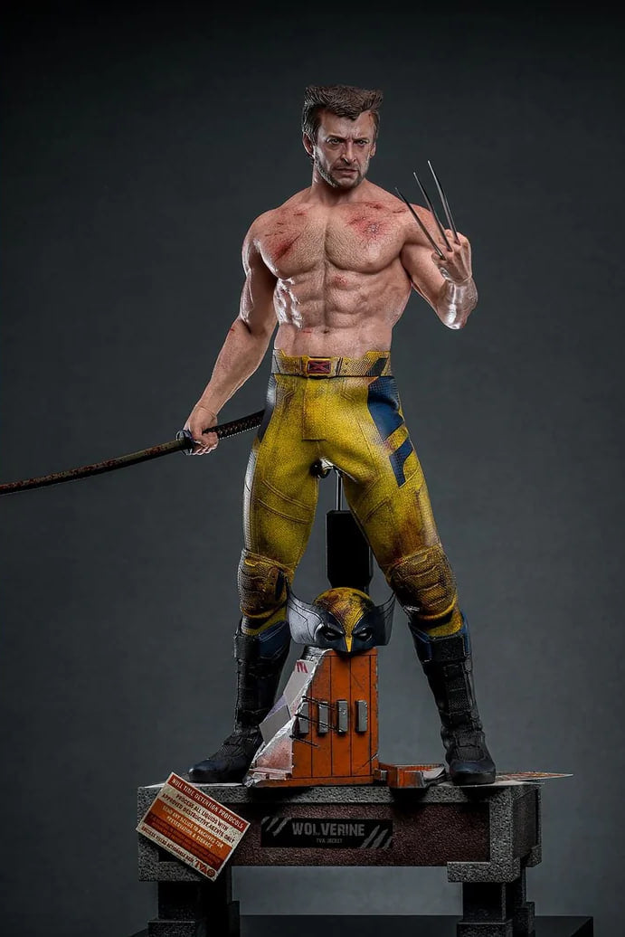 Preorderš„Hot Toys MMS756 Marvel Deadpool and Wolverine Wolverine (Jacket Version) 1/6 Scale Collectible Figure