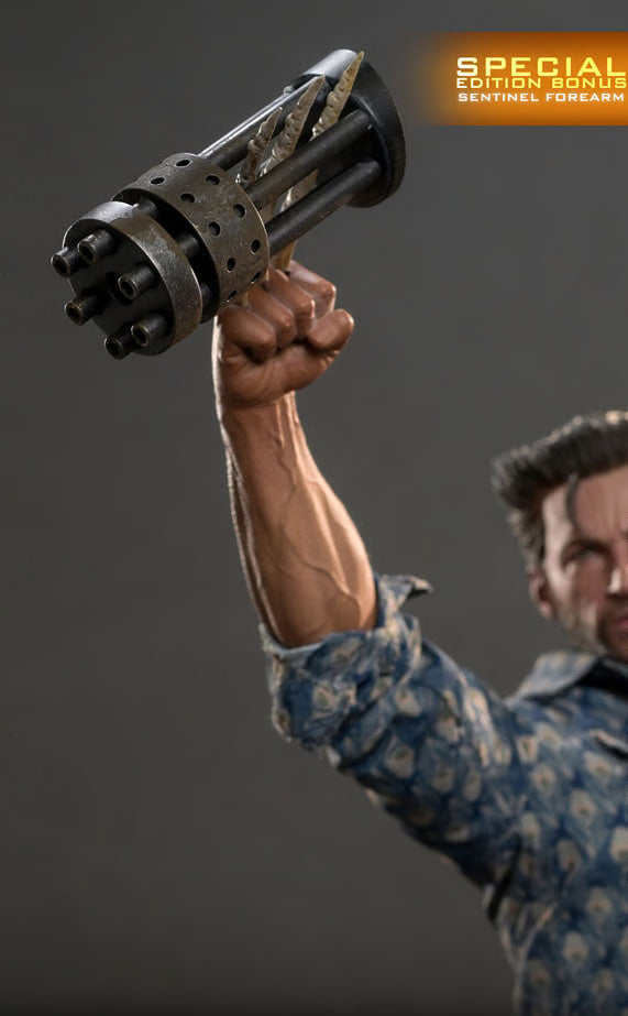 🔥Hot Toys MMS659b Wolverine (1973 Version) Collectible Figure (Regular) (Special)