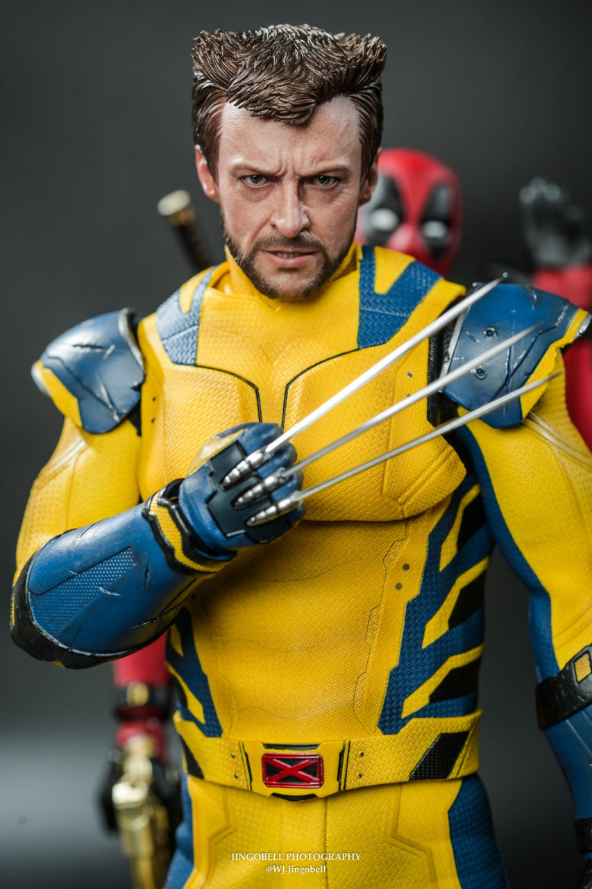 🔥Hot Toys MMS754 Deadpool and Wolverine - Wolverine 1/6 Scale Collectible Figure Deluxe Edition