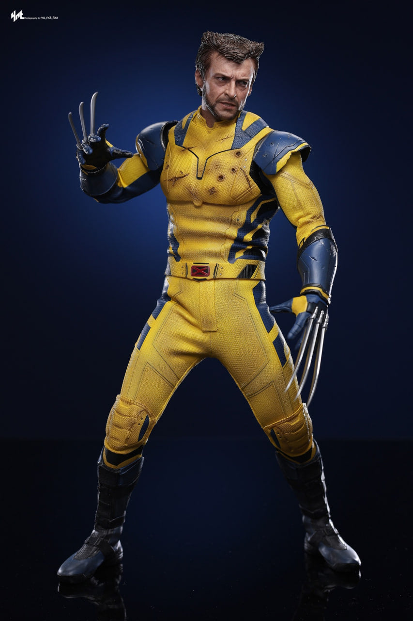 🔥Hot Toys MMS754 Deadpool and Wolverine - Wolverine 1/6 Scale Collectible Figure Deluxe Edition