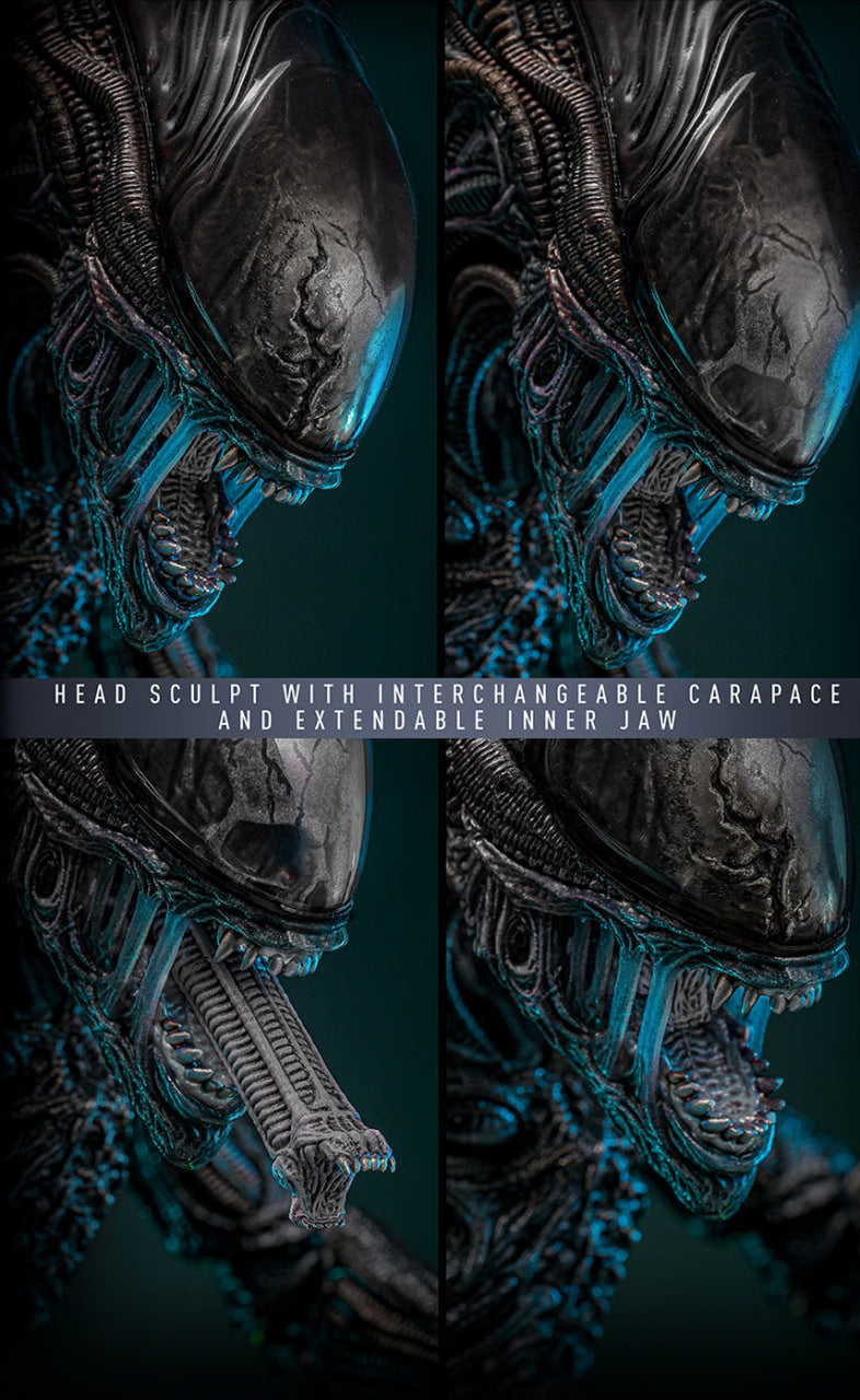 Preorderš„Hot Toys MMS784 Alien: Romulus 1/6th scale Scorched Xenomorph Collectible Figure