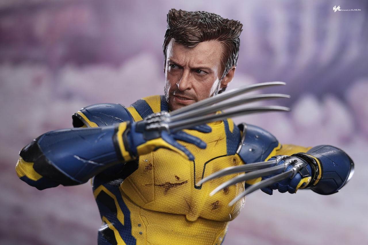 🔥Hot Toys MMS754 Deadpool and Wolverine - Wolverine 1/6 Scale Collectible Figure Deluxe Edition