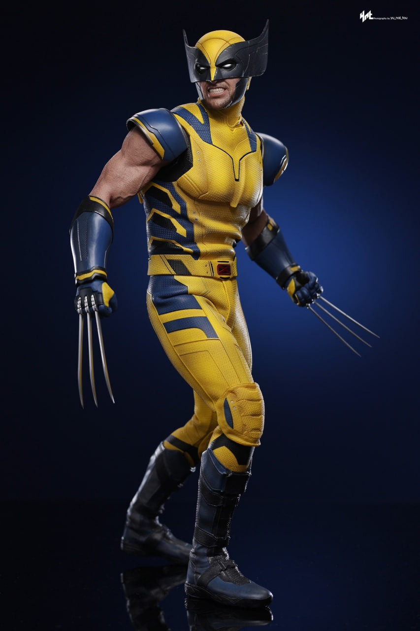 🔥Hot Toys MMS754 Deadpool and Wolverine - Wolverine 1/6 Scale Collectible Figure Deluxe Edition
