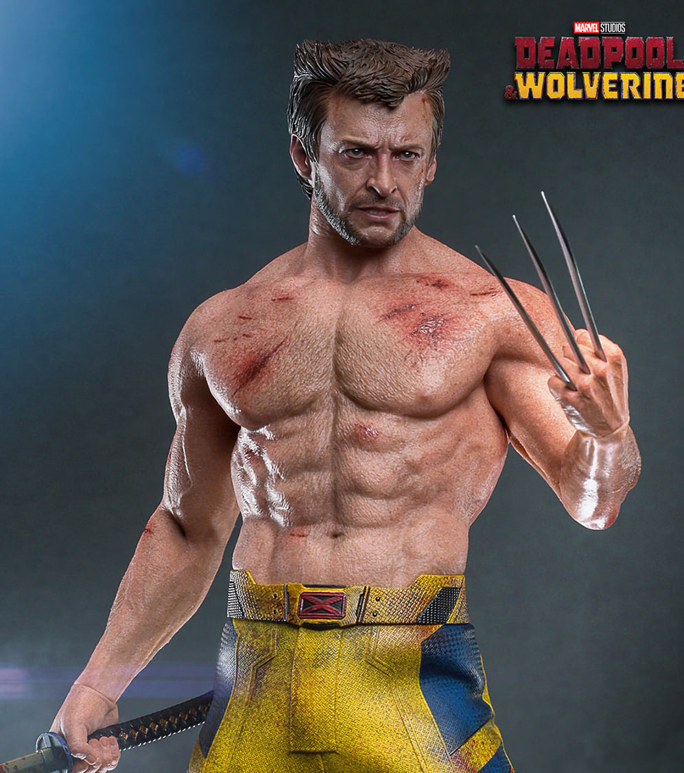 Preorderš„Hot Toys MMS756 Marvel Deadpool and Wolverine Wolverine (Jacket Version) 1/6 Scale Collectible Figure