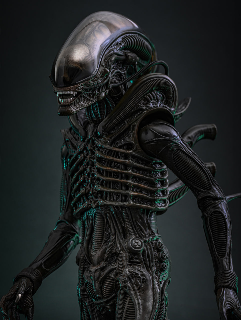 Preorderš„Hot Toys MMS826B Alien Big Chap 1/6th scale Collectible Figure Special Edition