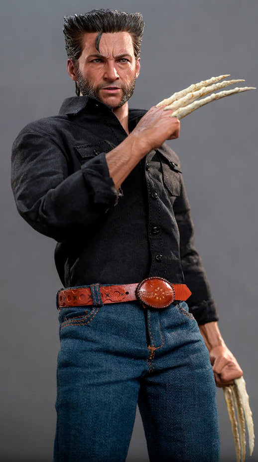 🔥Hot Toys MMS659b Wolverine (1973 Version) Collectible Figure (Regular) (Special)