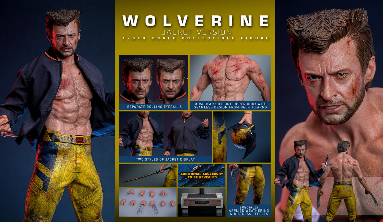 Preorderš„Hot Toys MMS756 Marvel Deadpool and Wolverine Wolverine (Jacket Version) 1/6 Scale Collectible Figure