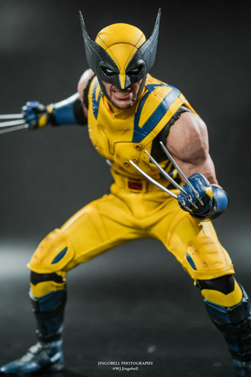 🔥Hot Toys MMS754 Deadpool and Wolverine - Wolverine 1/6 Scale Collectible Figure Deluxe Edition
