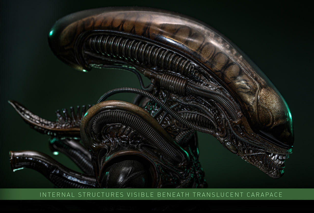 Preorderš„Hot Toys MMS826B Alien Big Chap 1/6th scale Collectible Figure Special Edition
