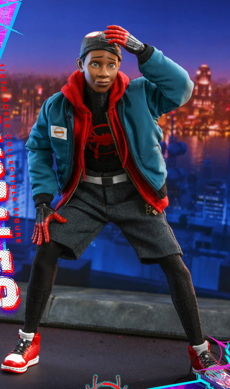 🔥Hot Toys MMS567 SPIDER-MAN: INTO THE SPIDER-VERSE 1/6 MILES MORALES