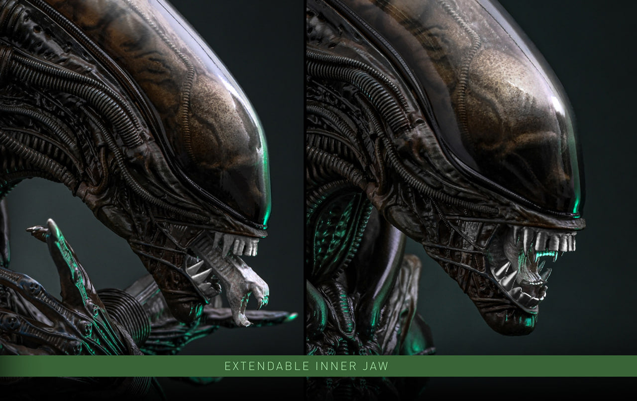Preorderš„Hot Toys MMS826B Alien Big Chap 1/6th scale Collectible Figure Special Edition