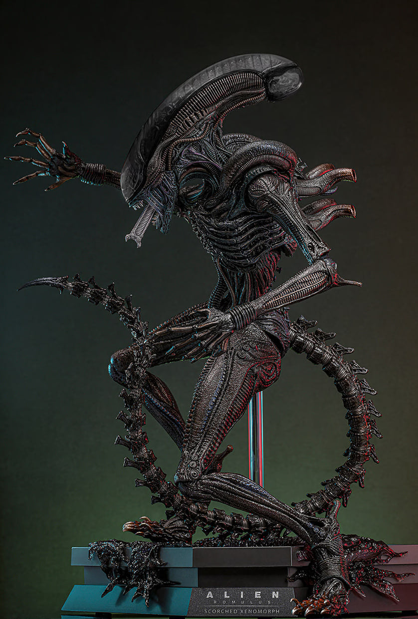 Preorderš„Hot Toys MMS784 Alien: Romulus 1/6th scale Scorched Xenomorph Collectible Figure