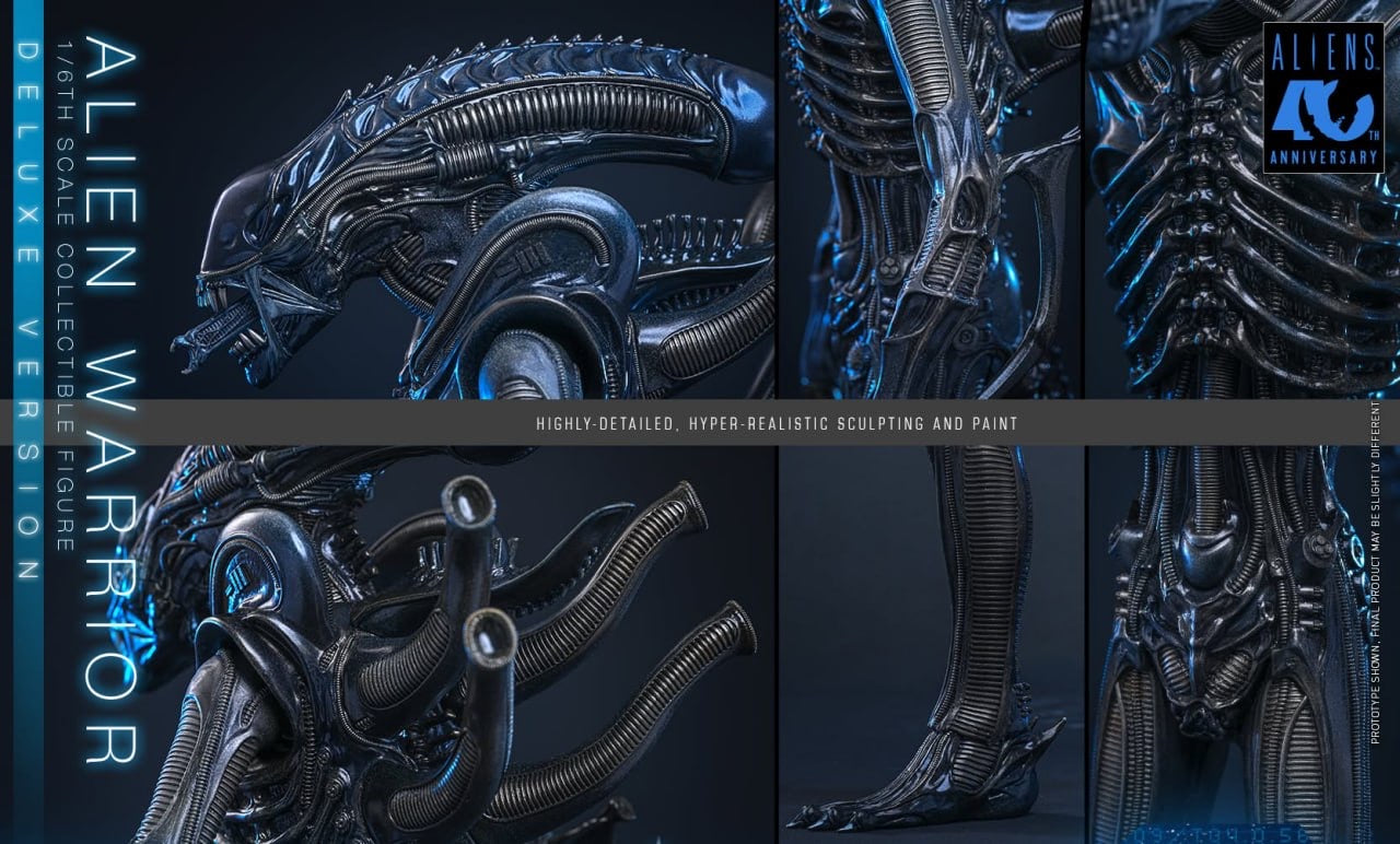 Preorder🔥Hot Toys MMS899 Aliens Alien Warrior (Deluxe Version) 1/6th scale Collectible Figure