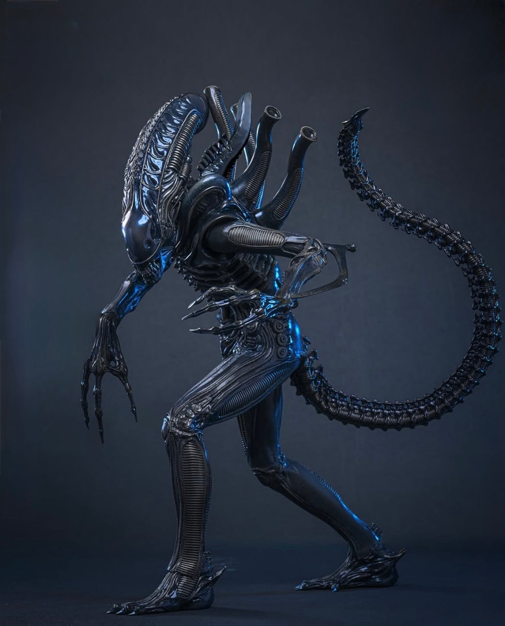Preorder🔥Hot Toys MMS899 Aliens Alien Warrior (Deluxe Version) 1/6th scale Collectible Figure