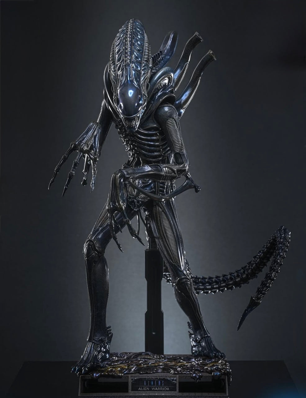Preorder🔥Hot Toys MMS898 Aliens Alien Warrior 1/6th scale Collectible Figure