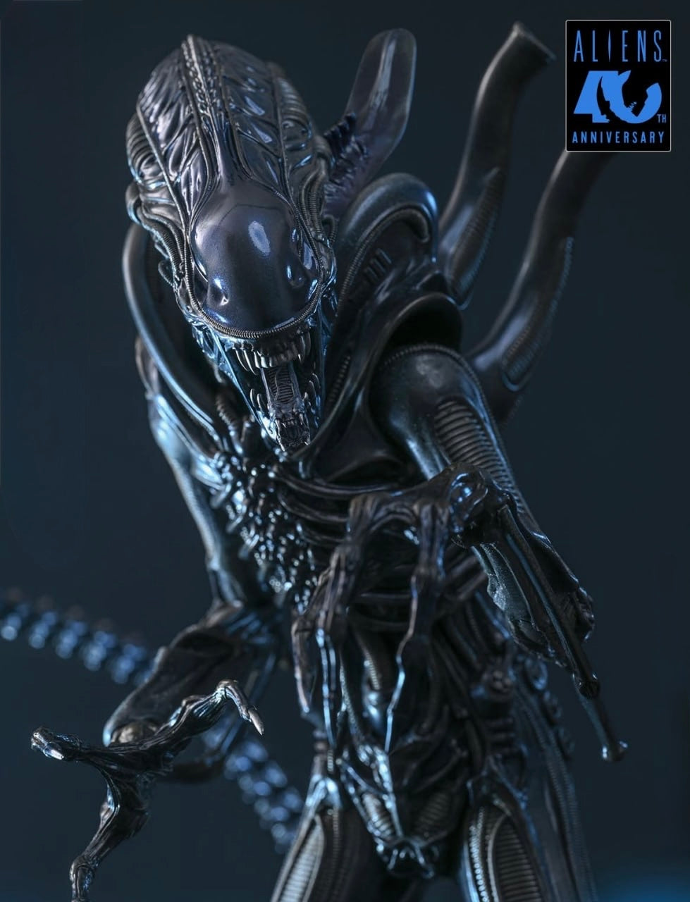 Preorder🔥Hot Toys MMS898 Aliens Alien Warrior 1/6th scale Collectible Figure