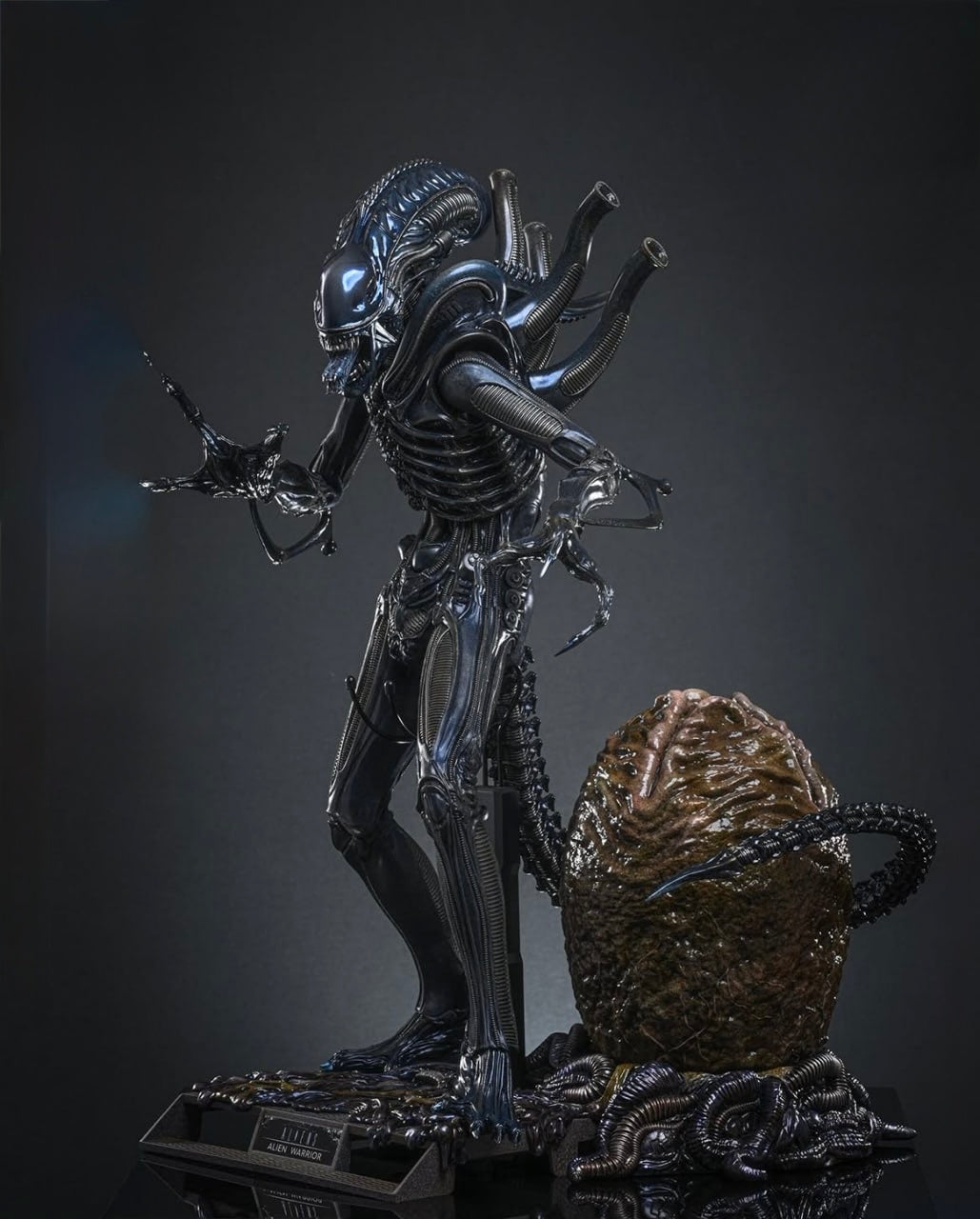 Preorder🔥Hot Toys MMS899 Aliens Alien Warrior (Deluxe Version) 1/6th scale Collectible Figure