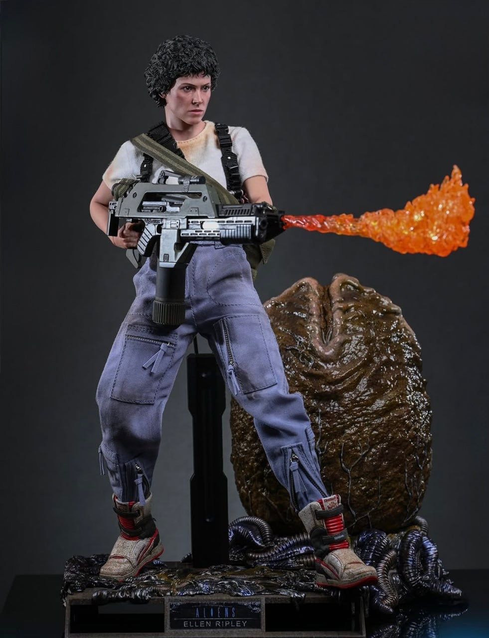 Preorder🔥Hot Toys MMS895 Aliens Ellen Ripley (Deluxe Version) 1/6th scale Collectible Figure