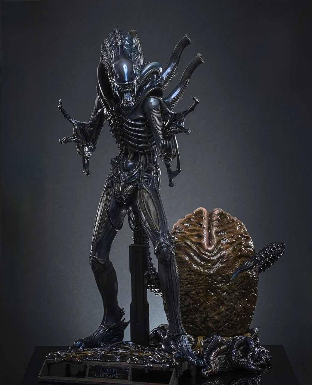 Preorder🔥Hot Toys MMS899 Aliens Alien Warrior (Deluxe Version) 1/6th scale Collectible Figure