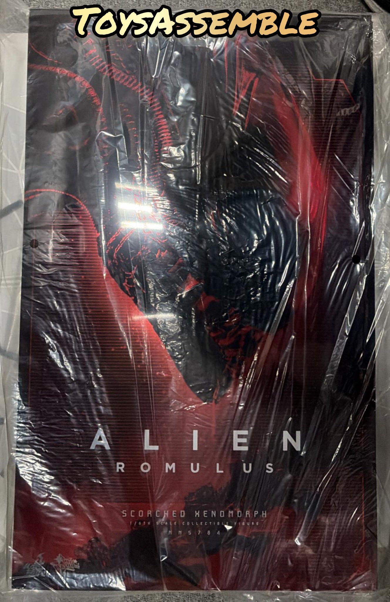 READY🔥Hot Toys MMS784 Alien: Romulus 1/6th scale Scorched