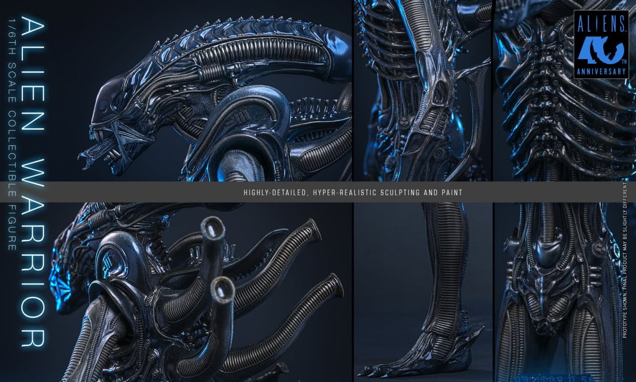 Preorder🔥Hot Toys MMS898 Aliens Alien Warrior 1/6th scale Collectible Figure