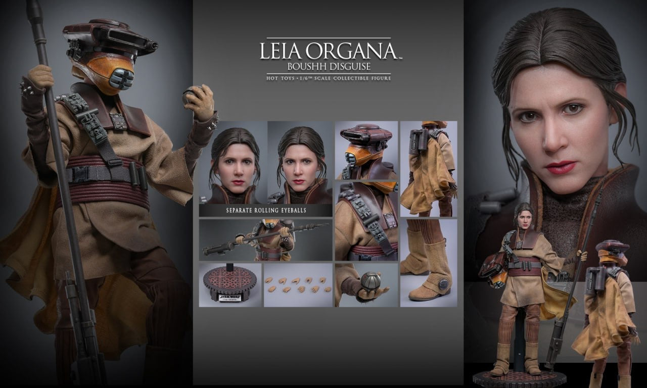 Preorder🔥Hot Toys MMS854 Star Wars Return of the Jedi Leia Organa (Boushh Disguise) 1/6th scale Collectible Figure