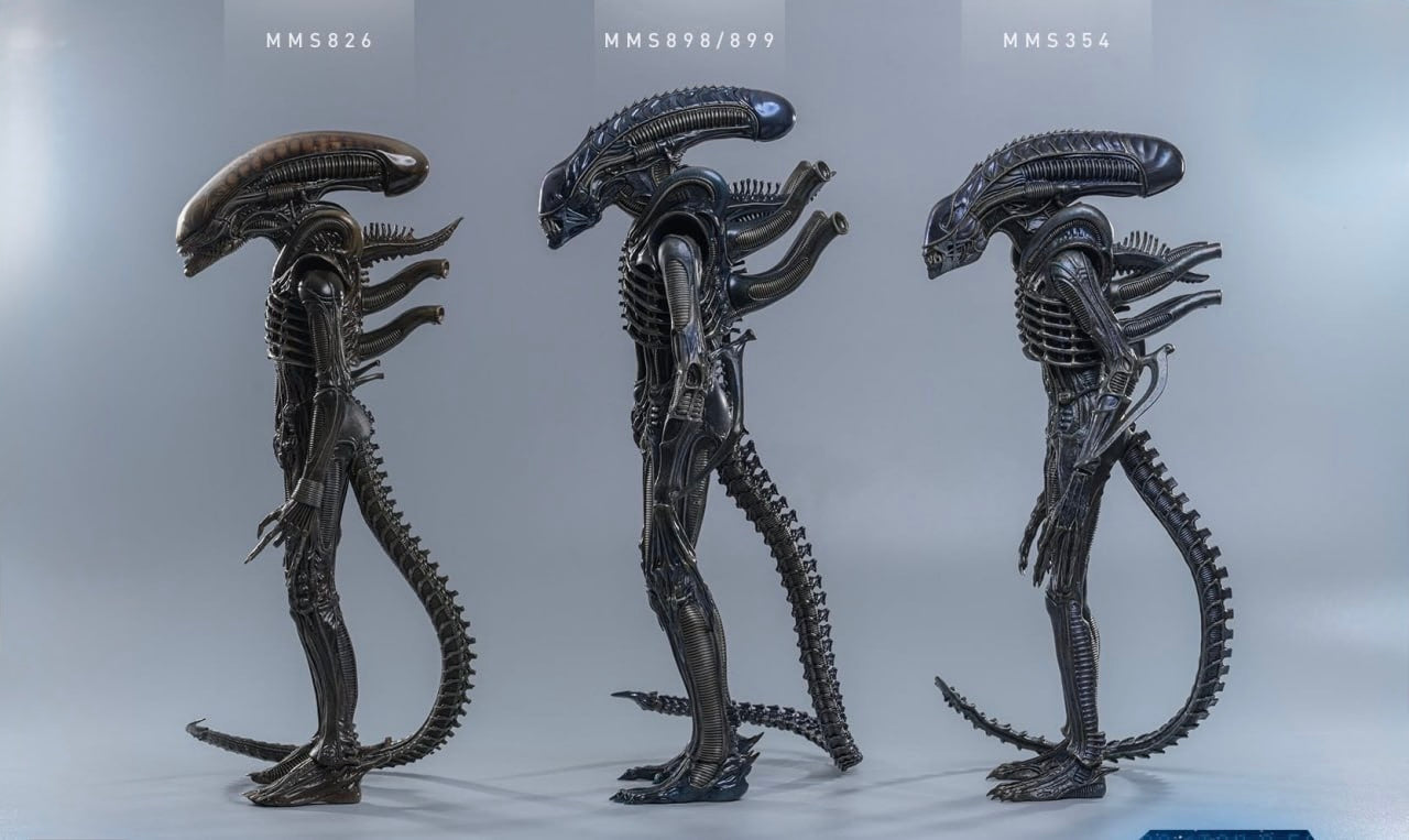 Preorder🔥Hot Toys MMS899 Aliens Alien Warrior (Deluxe Version) 1/6th scale Collectible Figure