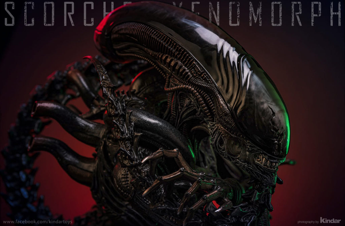 READY🔥Hot Toys MMS784 Alien: Romulus 1/6th scale Scorched