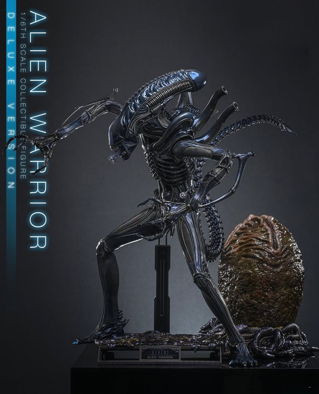 80s DEAD STOCK ALIEN エイリアン フィギュア スペースマリン Preorder🔥Hot Toys MMS899 Aliens Alien Warrior (Deluxe Version) 1
