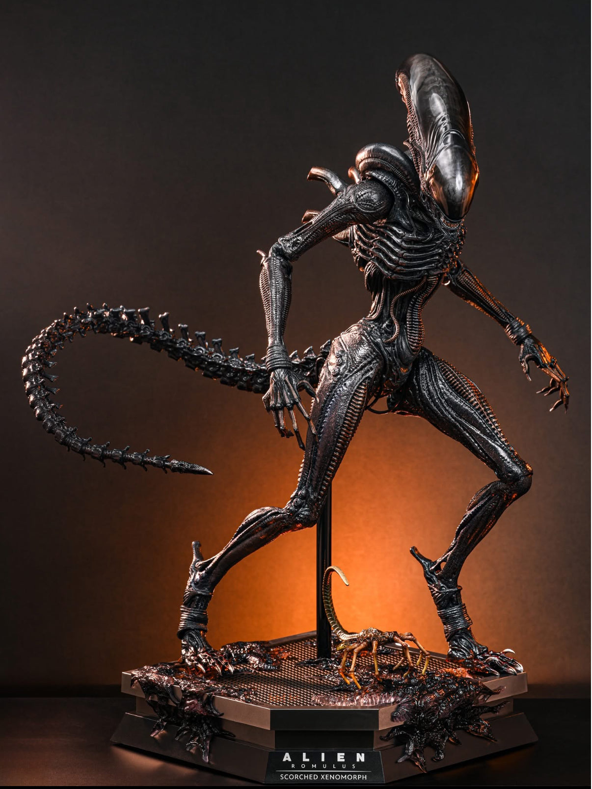 ホットヘッド フィギュア Hello There 🤘 It's a figure I've wanted for several years , Jack