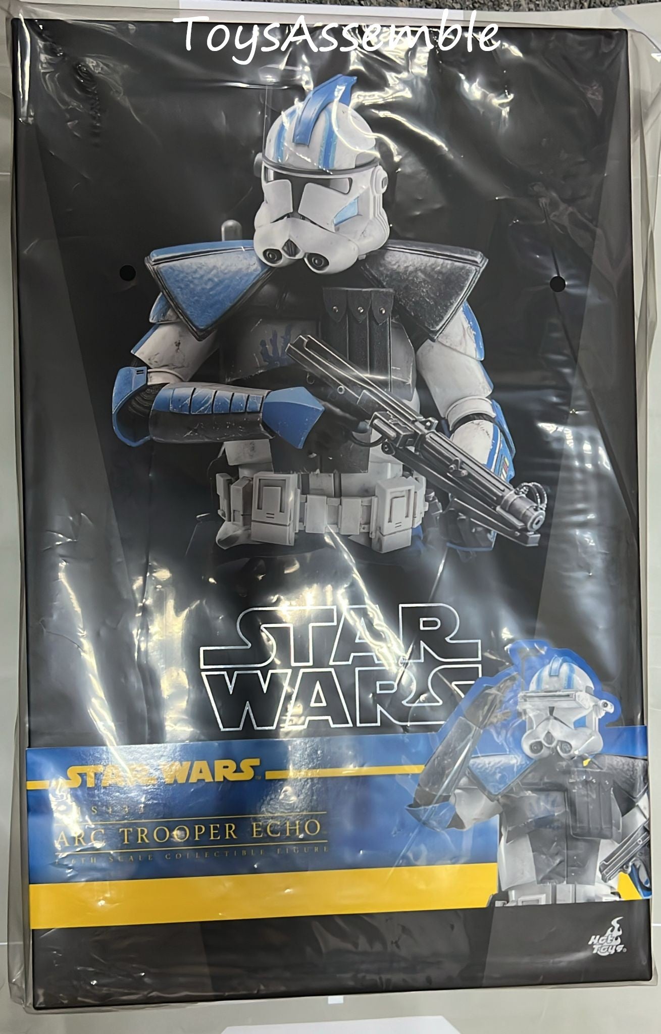 READY🔥Hot Toys TMS133 Star Wars The Clone Wars Arc Trooper Echo 1/6 Scale Collectible Figure