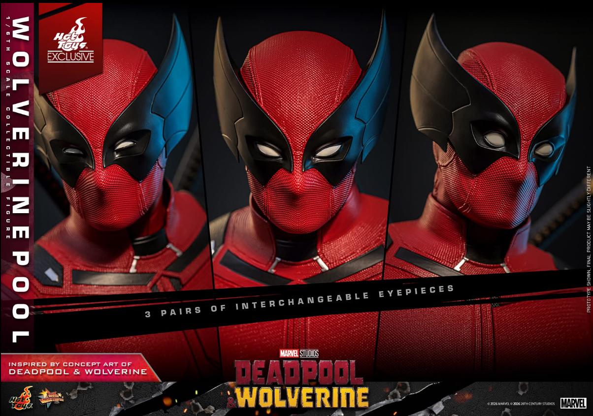 Preorder🔥Hot toys MMS857 DEADPOOL & WOLVERINE WOLVERINEPOOL [HOT TOYS EXCLUSIVE] 1/6TH SCALE COLLECTIBLE FIGURE