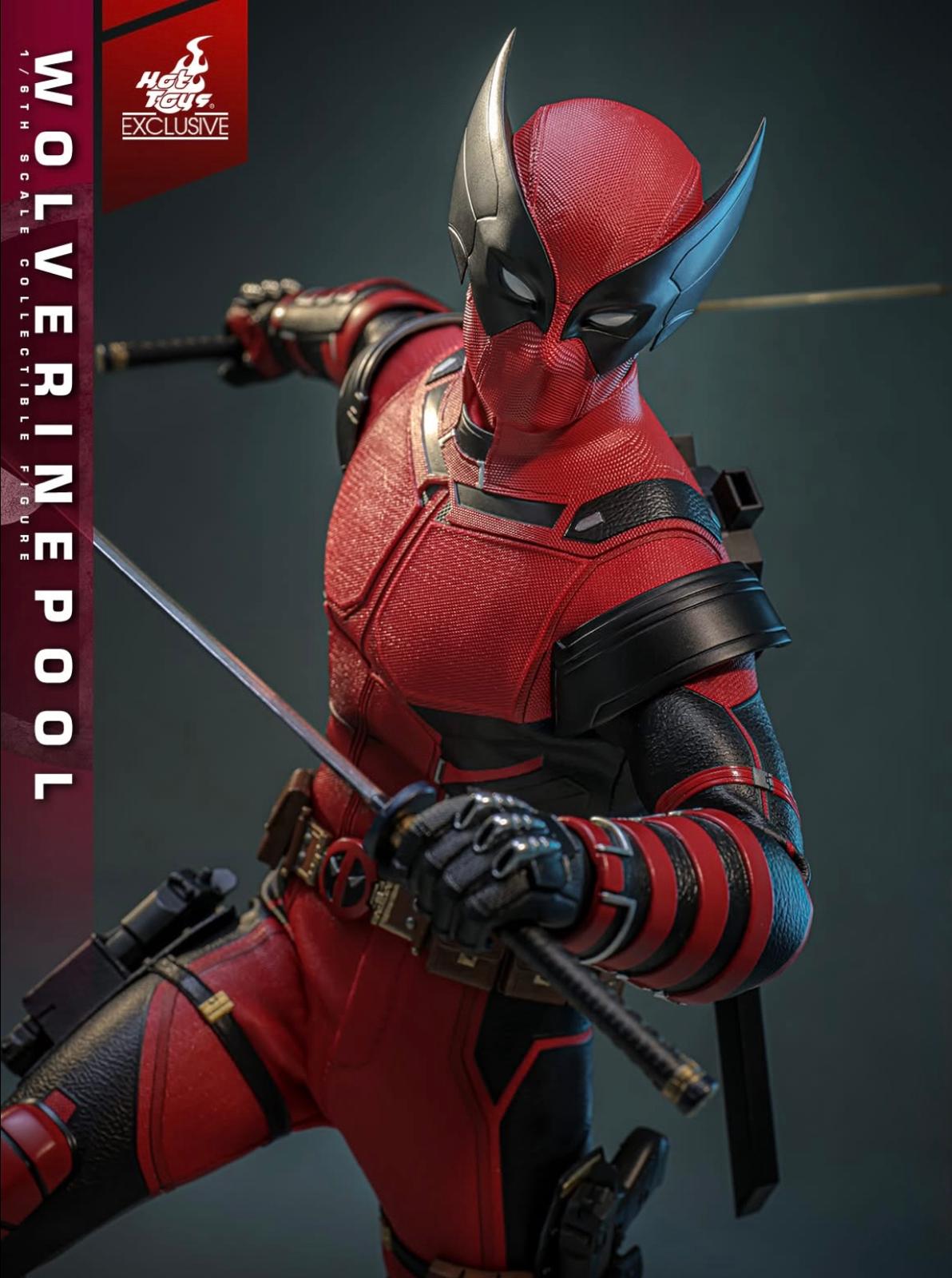 Preorder🔥Hot toys MMS857 DEADPOOL & WOLVERINE WOLVERINEPOOL [HOT TOYS EXCLUSIVE] 1/6TH SCALE COLLECTIBLE FIGURE