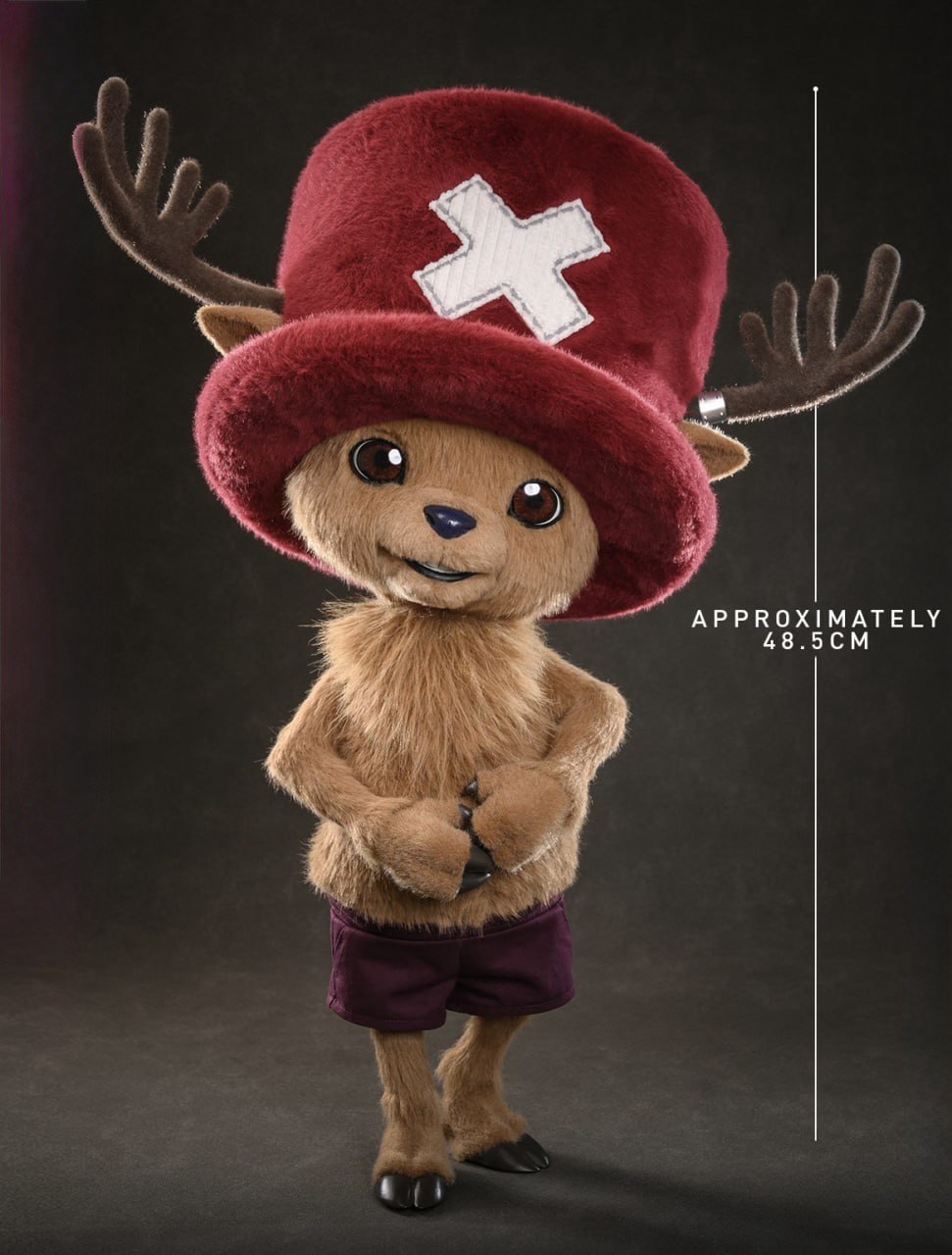 Preorder🔥Hot Toys TMS174 One Piece Chopper Collectible Figure