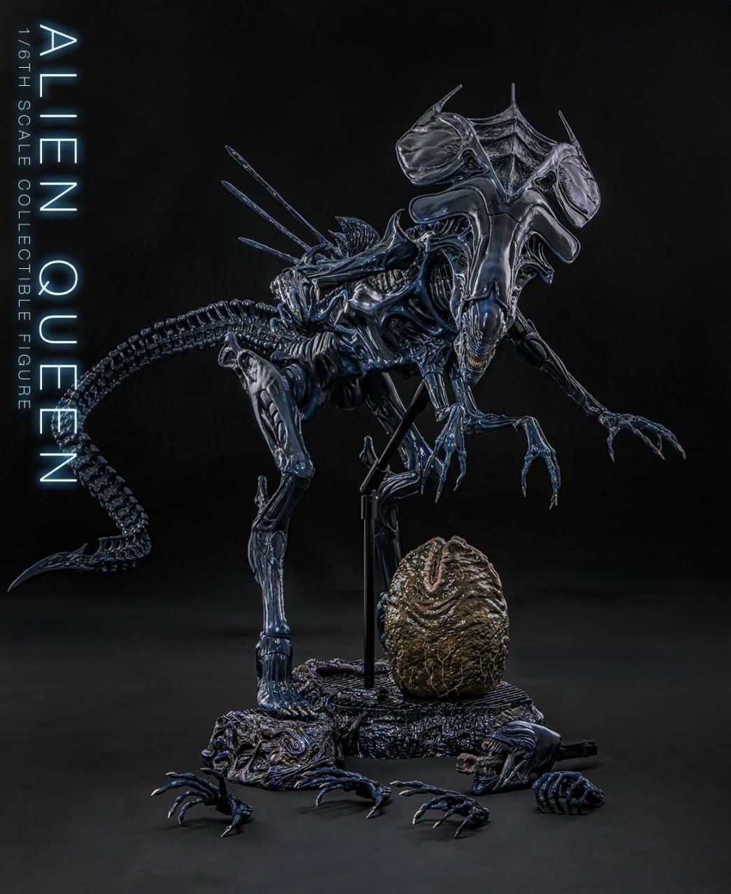 Preorder🔥Hot Toys MMS903 Aliens - 1/6th scale Alien Queen Collectible Figure