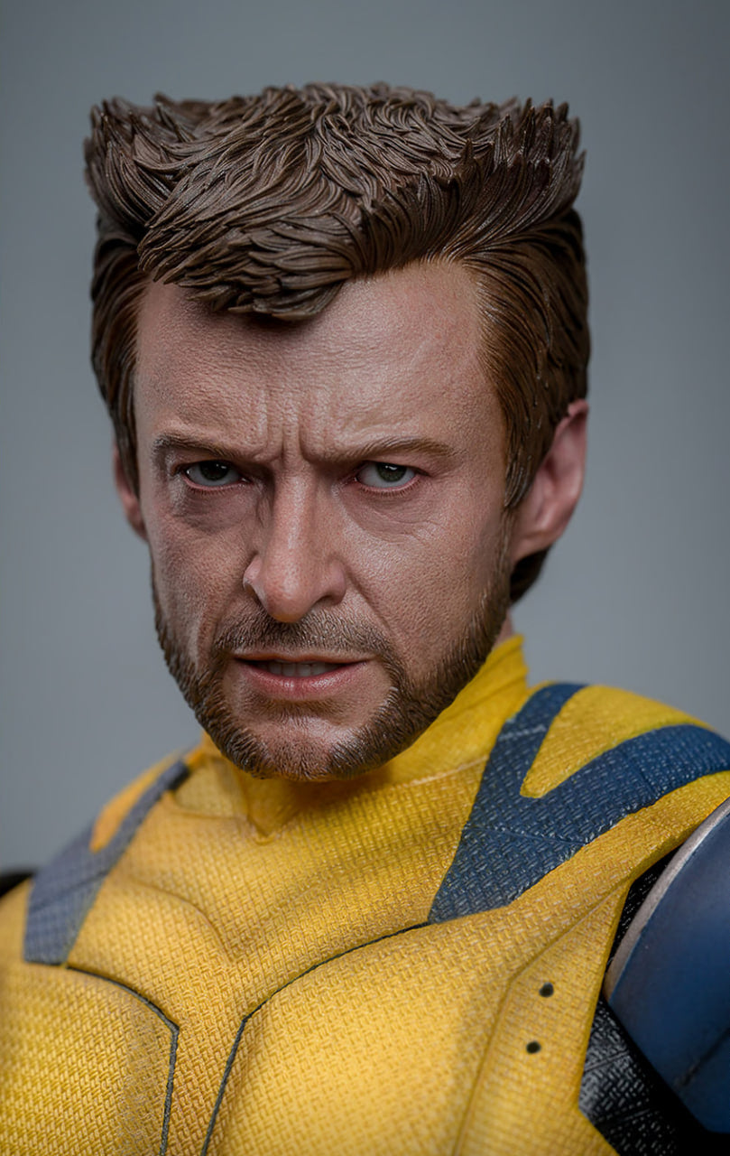 Preorder🔥Hot Toys MMS754 Deadpool and Wolverine - Wolverine 1/6 Scale Collectible Figure Deluxe Edition