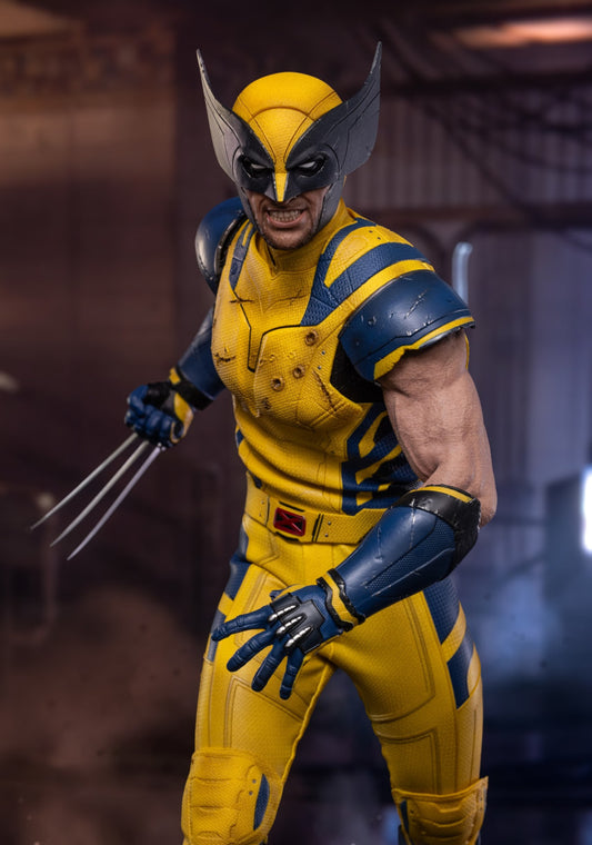 Ready🔥Hot Toys MMS753 Deadpool & Wolverine 1/6 Wolverine Collector Edition